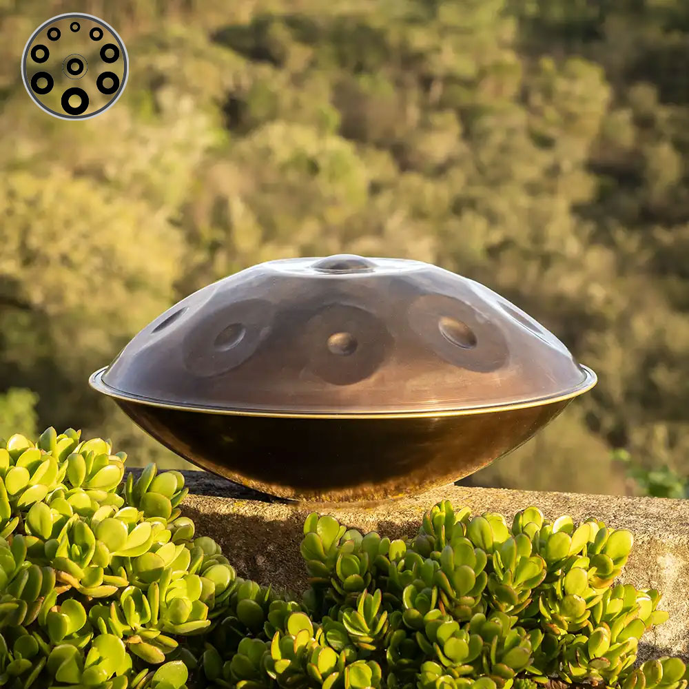 Felix Rohner và Sabina Scharer Nhà Sáng Tạo Handpan